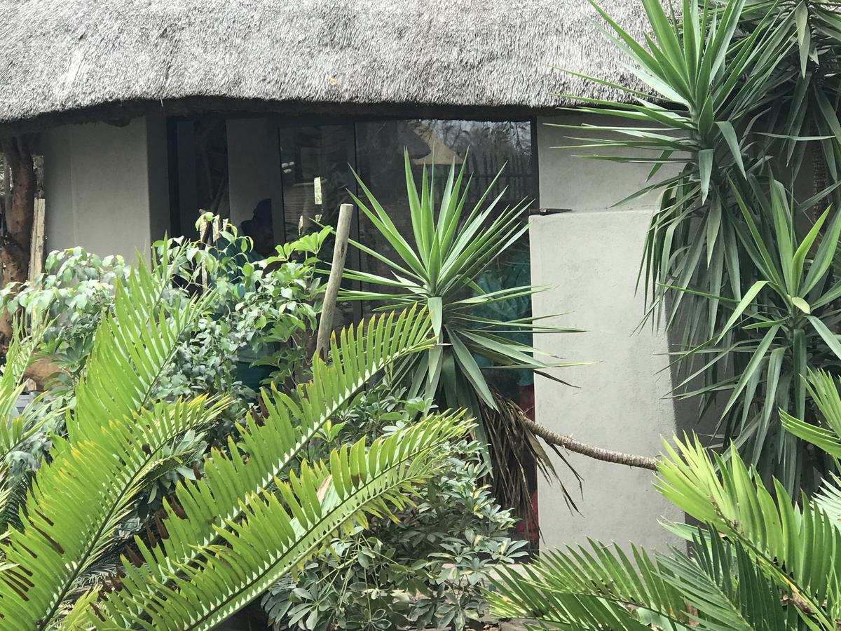 Weltevreden Country Guest Lodge Groblersbrug Luaran gambar
